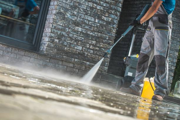 Animal Enclosure Cleaning in Mill Valley, CA